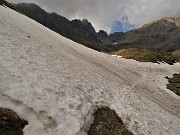 Spettacolo di fiori e marmotte sui sentieri per i Laghetti di Ponteranica – 18magg22  - FOTOGALLERY